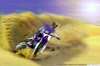 oboi-games-228