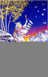 f_WSC_05_SallyJSmith_Shamaness.jpg
