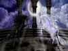 x_da792545c5