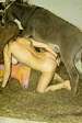 onkey_sex_02.jpg