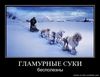 Гламурные суки