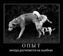 demotivatory_v_pjatnicu_165_foto_19