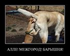 demotivatory_v_pjatnicu_165_foto_165