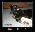 kartinki_s_podpisjami_53_foto_1