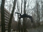 back flip