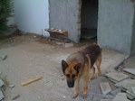 IMG_0020