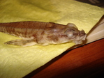 DSC02273