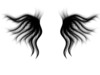 mywings