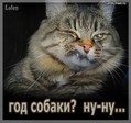 КоТ
