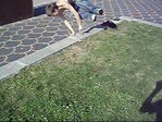 Реверс =) Ток качество не оч =(