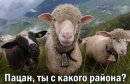 m_b0d5219b