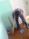 DSC00465