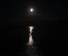 DSC01703