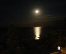 DSC01709