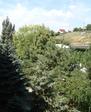 DSC01620