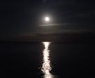 DSC01702