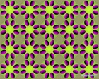 gallery_38130_335_17460
