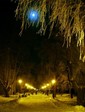 Ночь, снег, сквер - романтика.jpg