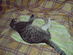 DSC00012