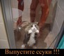 хе =)