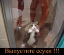 хе =)