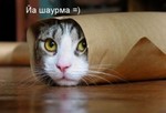 =)