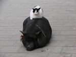 DSC07228.JPG