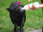 DSC05804.JPG