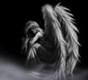 images[31]
