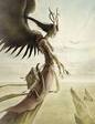 images[13]