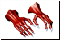 aruchi8