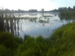 бАлоТо
