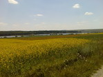 краСиво