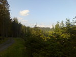 Зобр008