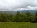 №4