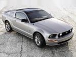 Ford_Mustang_spic_50131.jpg