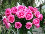 vetton_ru_107