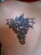 IMG0084A