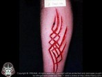 scar_01_302