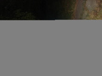 DSC04314.JPG