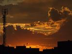 eveningsnz