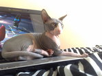 29052008487.jpg