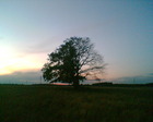 Р¤РѕРѕ05