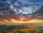 1229322919_landscape-10
