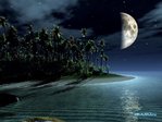 1229322996_landscape-15