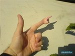 1228195664_photosi7.jpg