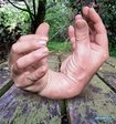 1228195658_photosi6.jpg