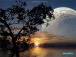 1229322959_landscape-14
