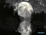1229323001_landscape-5
