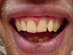 1228195606_photoshz.jpg